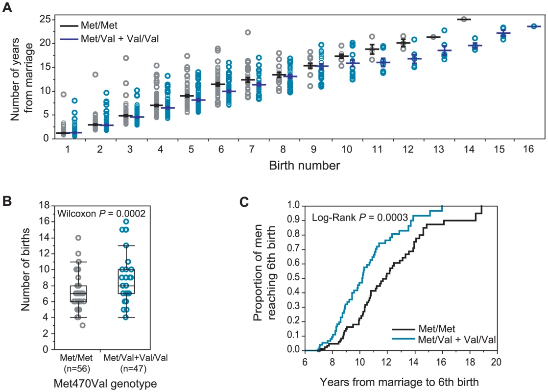 Met470Val genotypes and fertility in Hutterite men.