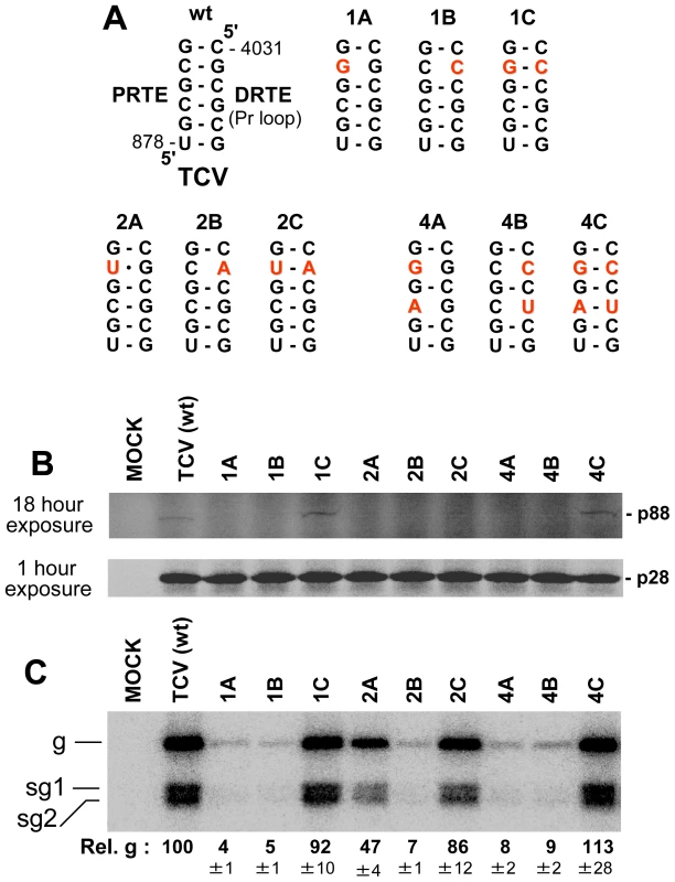 Analysis of the proposed PRTE-DRTE in TCV.