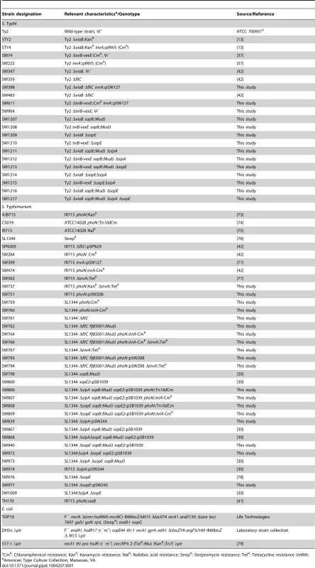 Bacterial strains and plasmids used in this study.