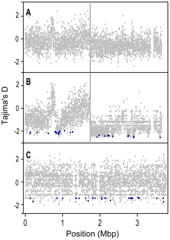 Tajima's D (<i>D<sub>T</sub></i>) values for protein coding genes along the length of the chromosome.