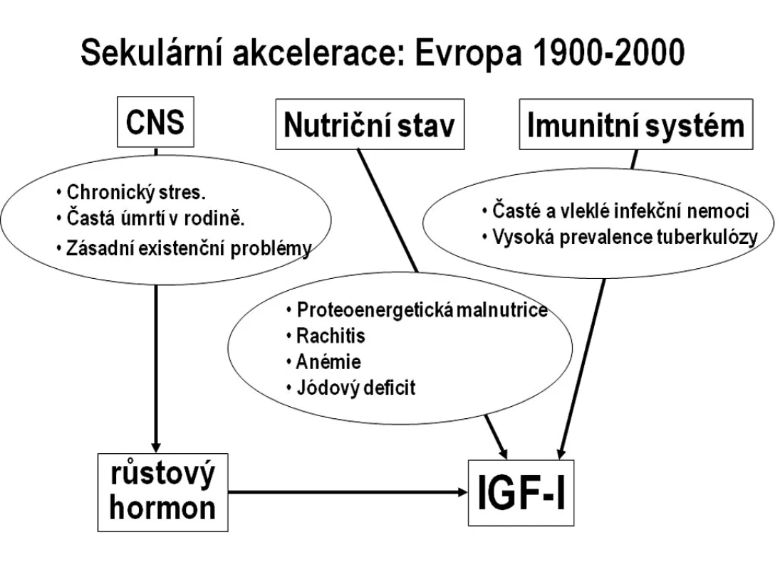 Příčiny sekulární akcelerace tělesného růstu ve vyspělých zemích. Schéma znázorňuje hlavní rušivé faktory s nepříznivým působením na osu růstový hormon–IGF-I na přelomu 19. a 20. století. Tyto faktory se během 20. století podařilo na populační úrovni eliminovat.