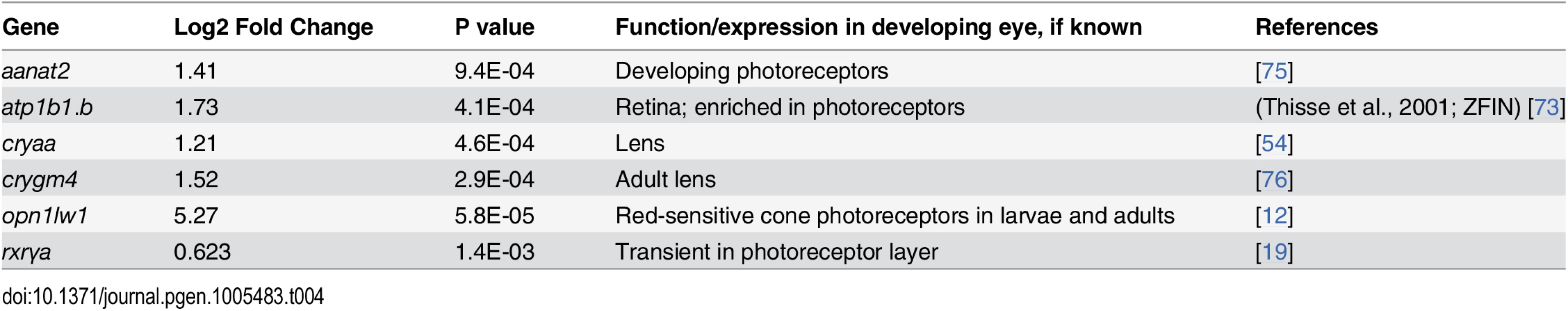 Differential expression of eye and photoreceptor genes in eyes of embryonic zebrafish treated with RA.
