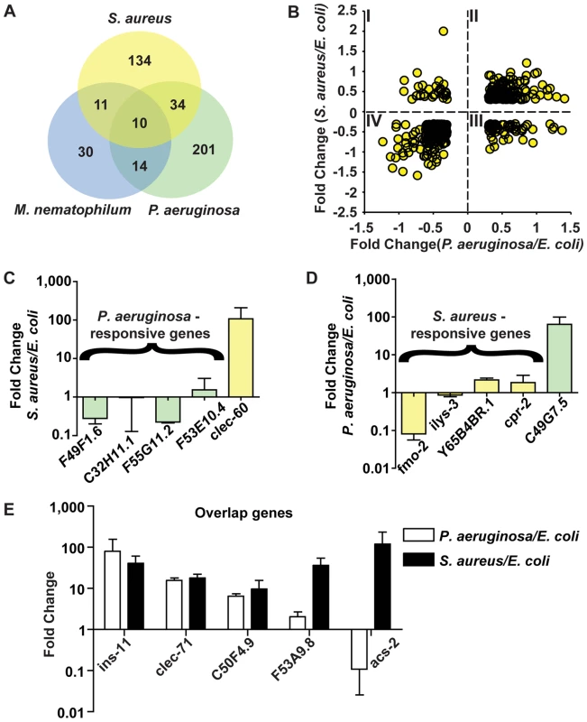 The <i>C. elegans</i> host response is comprised of pathogen-specific and -shared components.