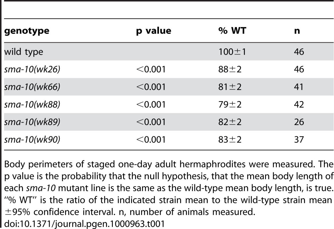 Quantitation of <i>sma-10</i> mutant body size.