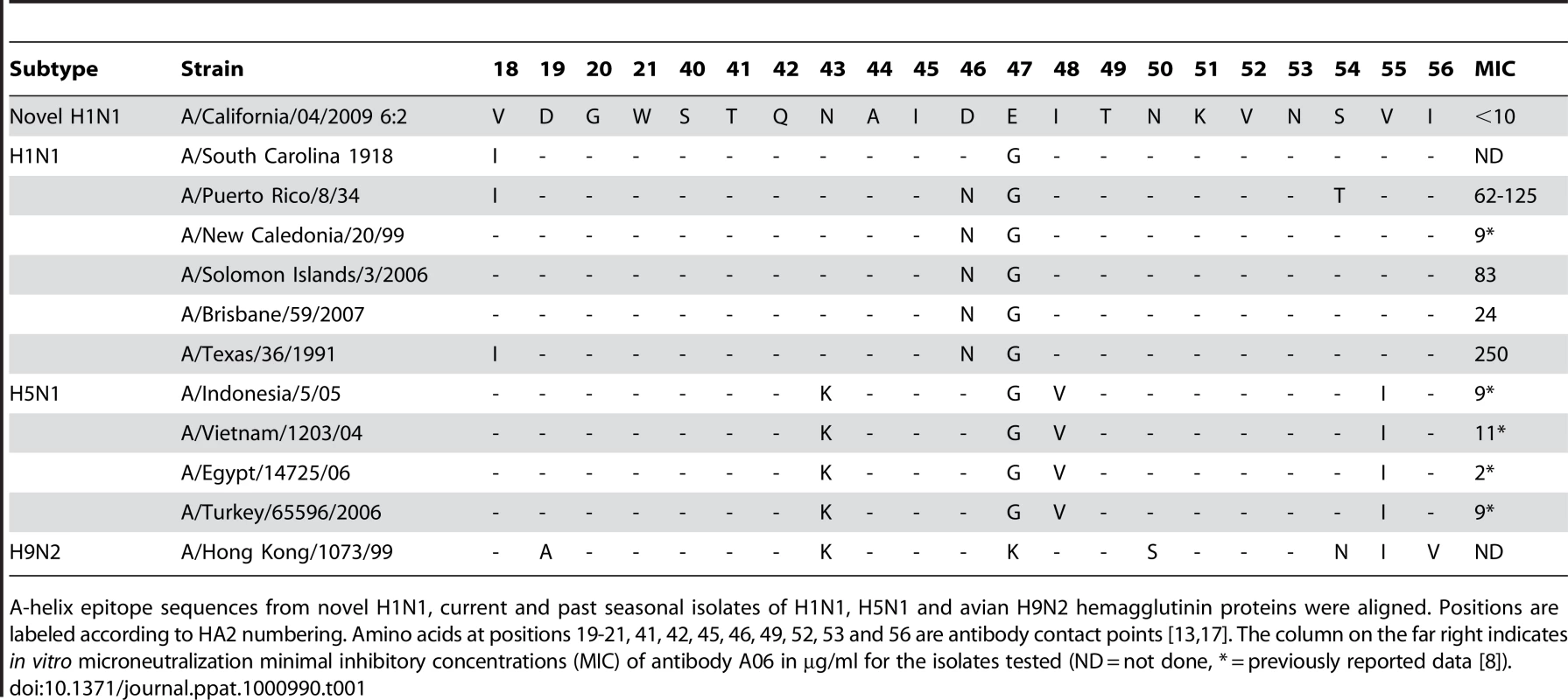 The A-helix epitope targeted by the A06 antibody is highly conserved across numerous types of influenza.