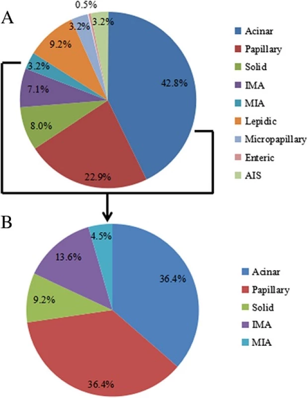 Histologic subtype distribution of the 437 EGFR wild type and 22 HER-2 mutation samples. a Acinar and papillary are the most common histologic subtypes in lung adenocarcinoma; b HER-2 mutations occurred in acinar, papillary, solid, IMA, and MIA subtypes, other subtypes were not found (IMA, invasive mucinous adenocarcinoma; MIA, minimally invasive adenocarcinoma)