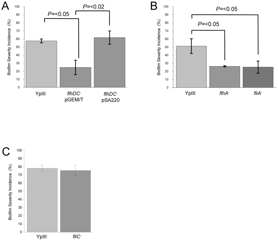 <i>Y. pseudotuberculosis</i> strains with mutations in <i>flhDC, fliA or flhA</i> but not <i>fliC are</i> attenuated for biofilm formation.