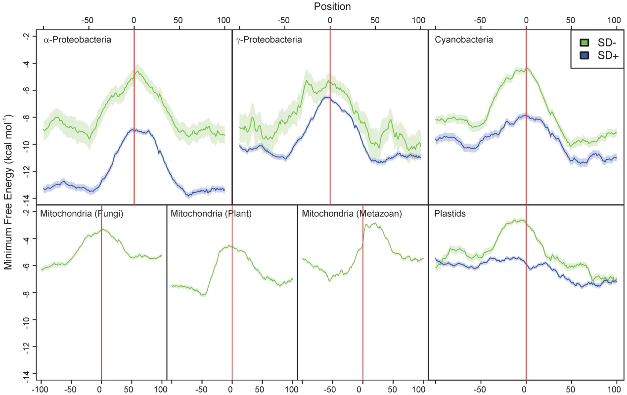 The amount of RNA secondary structure predicted around the start codon in α-proteobacteria, γ-proteobacteria, cyanobacteria, plant, metazoan and fungal mitochondria, and plastids.