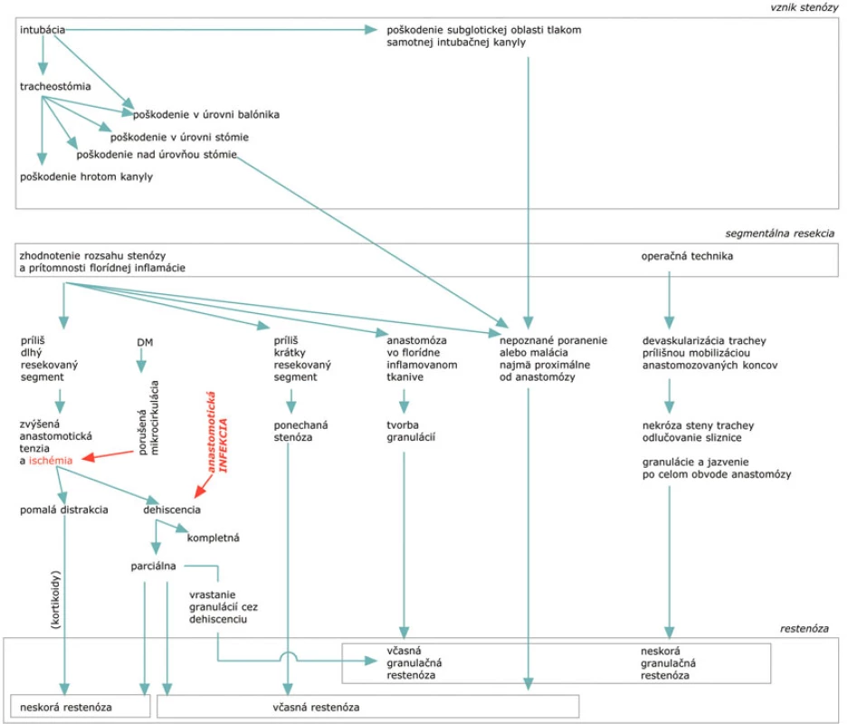 Mechanizmy a faktory vplývajúce na rozvoj poresekčnej restenózy
Fig. 2. Mechanisms and factors having impact on the post-resection stenosis