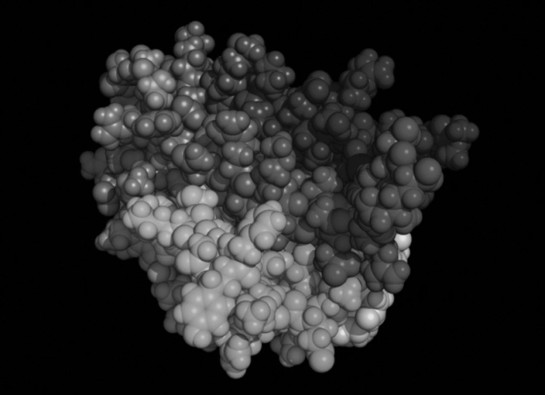 Erytropoetin