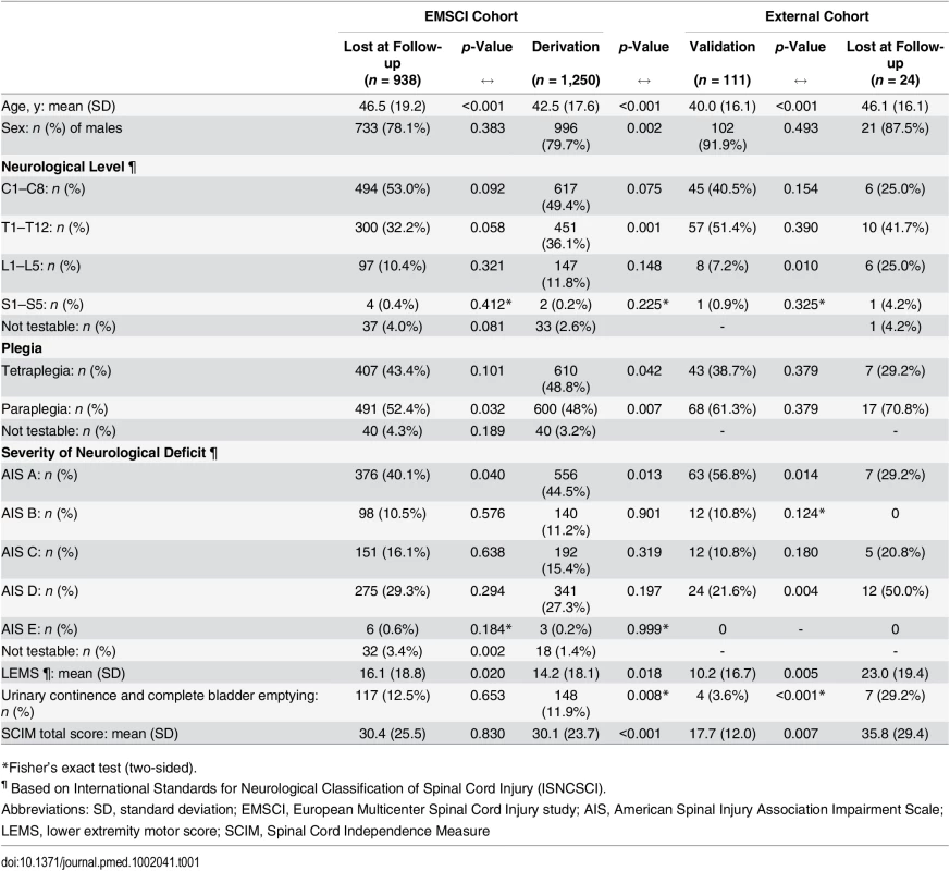 Characteristics of patients at the time of inclusion (within 40 d from spinal cord injury).