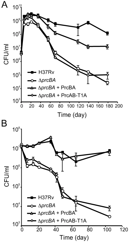 A proteolytically intact core proteasome is required for long-term survival in stationary phase and during starvation.