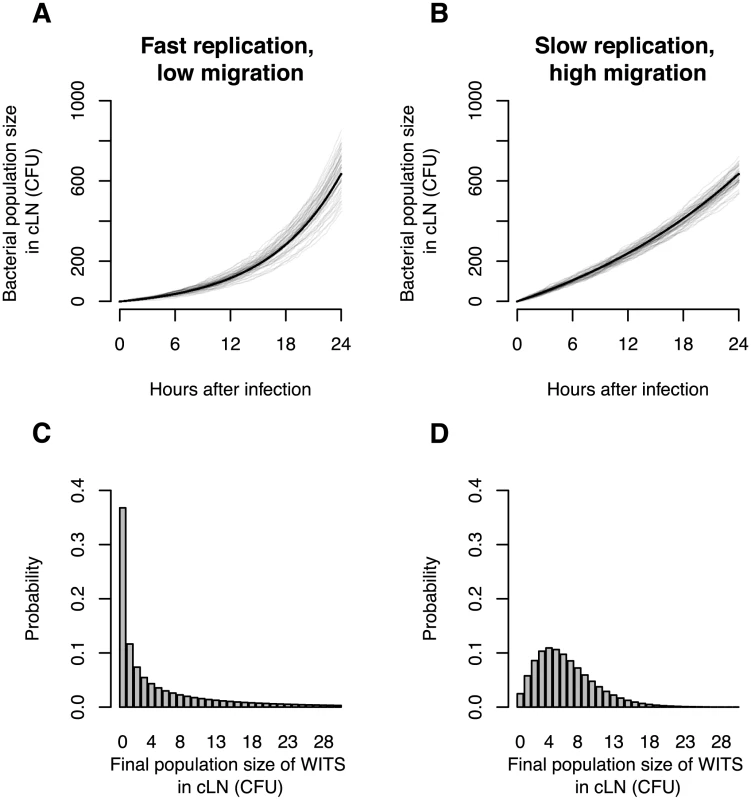 <i>In silico</i> analysis demonstrates the value of infection experiments with mixed inocula.
