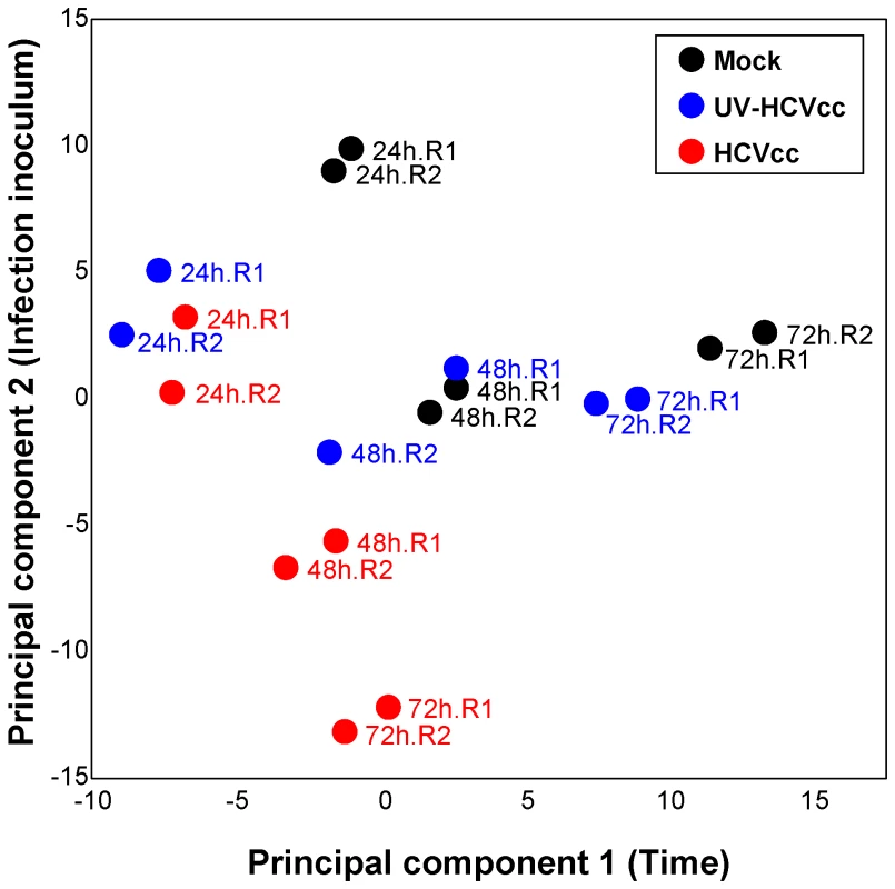 Principal components analysis scores plot showing the segregation of samples based on lipid profiles.