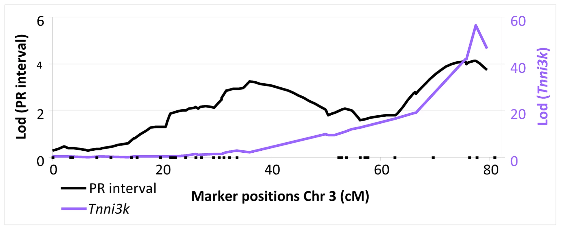 LOD plot of PR interval (black, left y-axis) and <i>Tnni3k (purple</i> right y-axis) on chromosome 3.