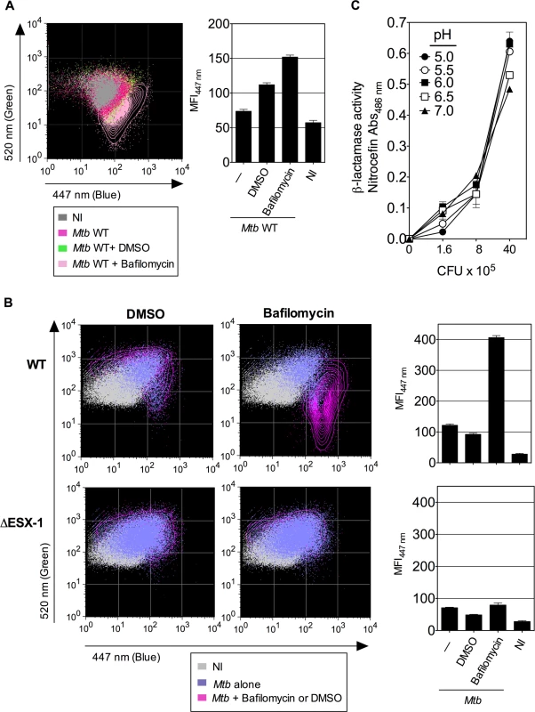 Inhibition of phagosomal acidification intensifies phagosomal rupture in <i>Mtb</i>-infected phagocytes.