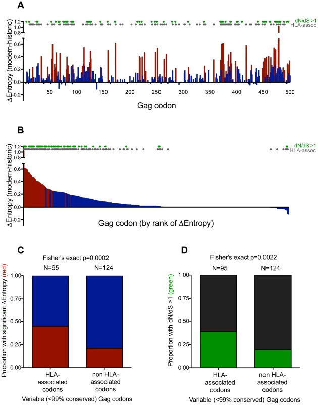 Gag residues exhibiting significant diversification over time are biased towards known HLA-associated sites.