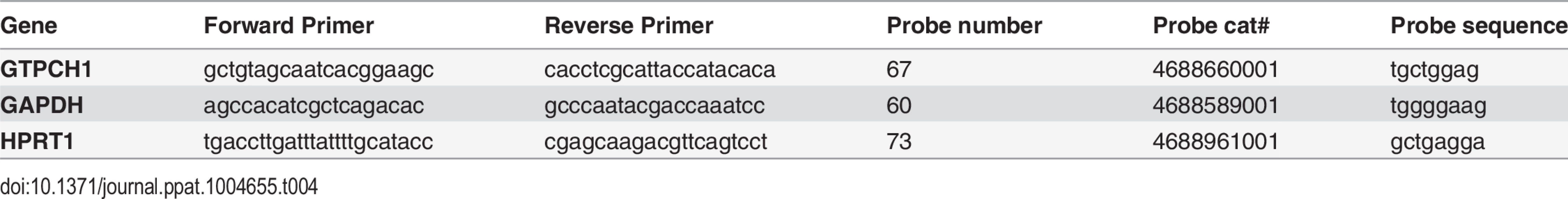 Primers and probes for GTP-cyclohydrolase I mRNA reverse transcriptase polymerase chain reaction.