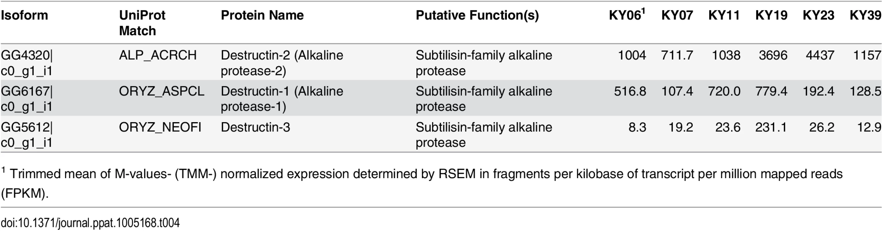 Expression of destructin transcripts in <i>Pd</i> growing on WNS-affected bats.