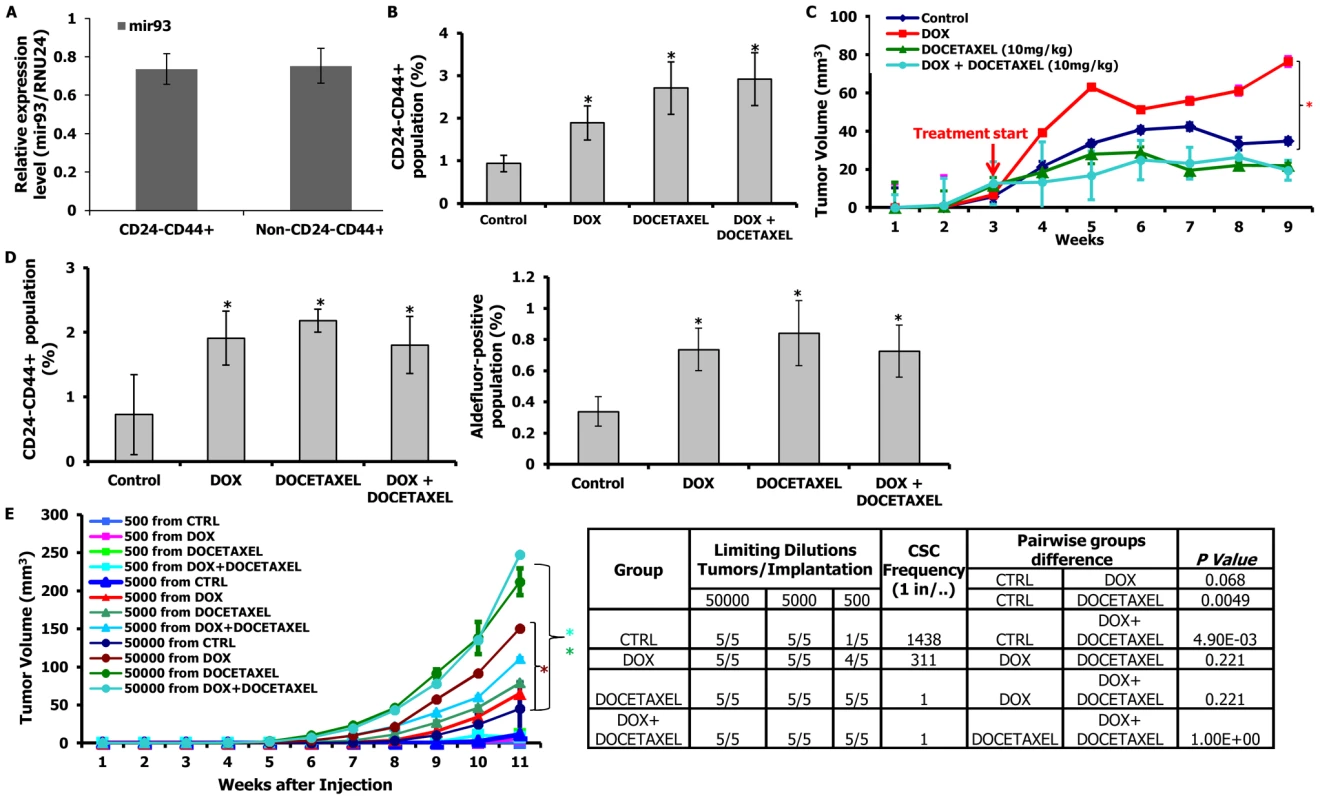 mir-93 promotes tumor growth by increasing CSCs in MCF7 cells.
