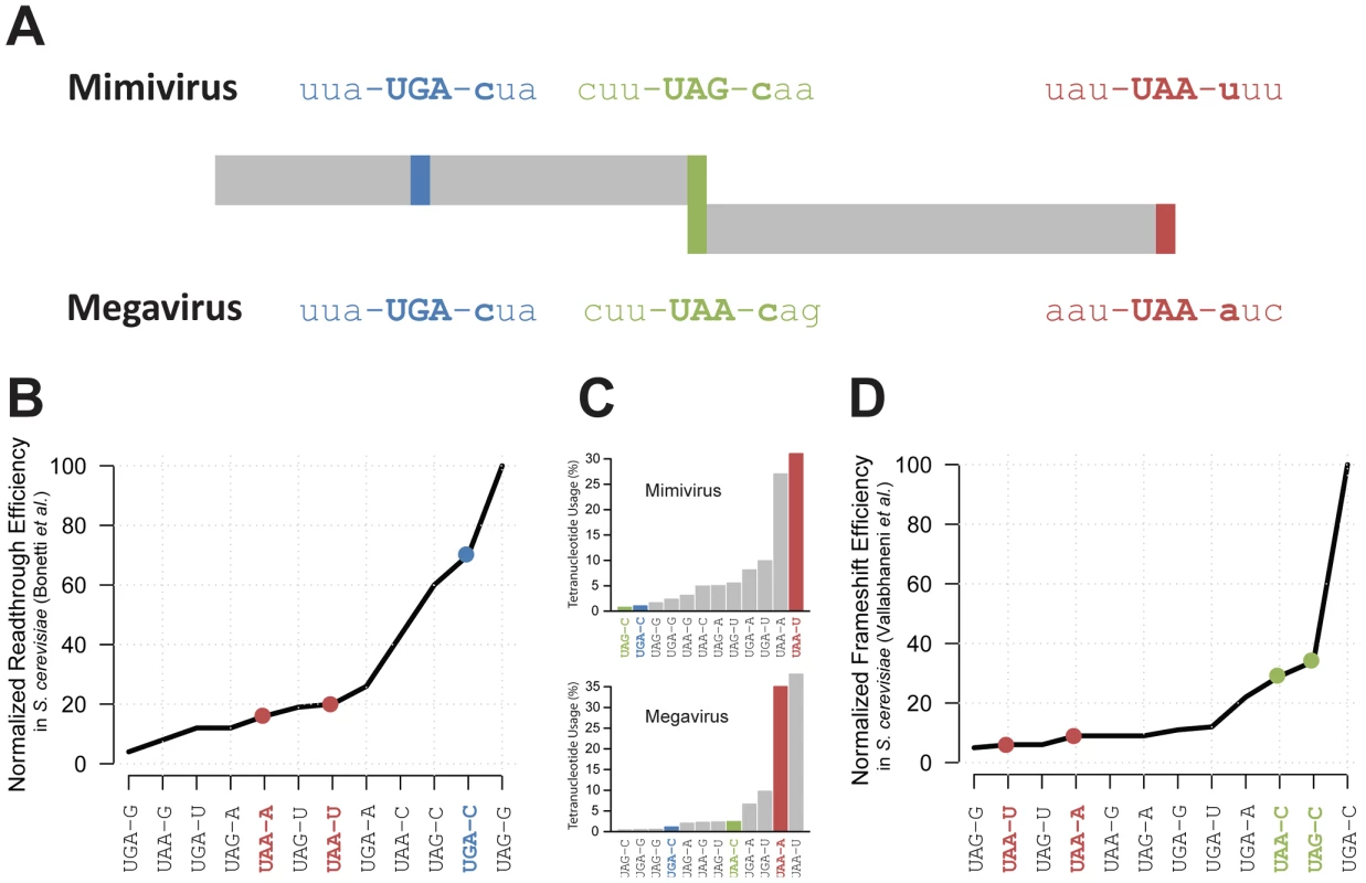 Representation of Mimivirus R726 and Megavirus mg280 coding regions.