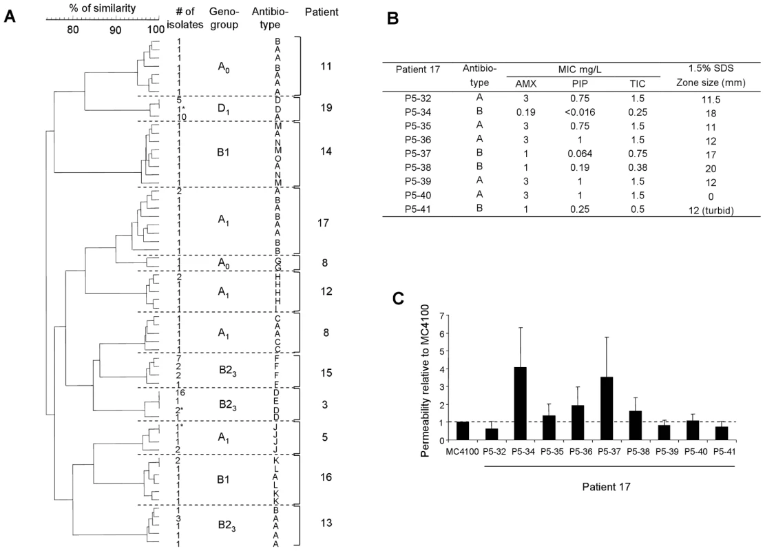 Antibioresistance phenotypes of <i>E. coli</i> isolates.