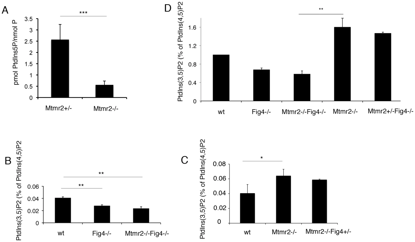 PI measurements from primary fibroblasts and Schwann cell/DRG co-cultures.