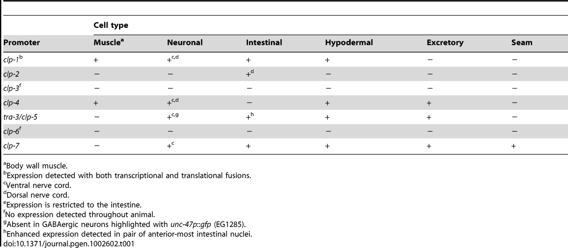 Summary of <i>C. elegans</i> calpain transcriptional reporter expression patterns.