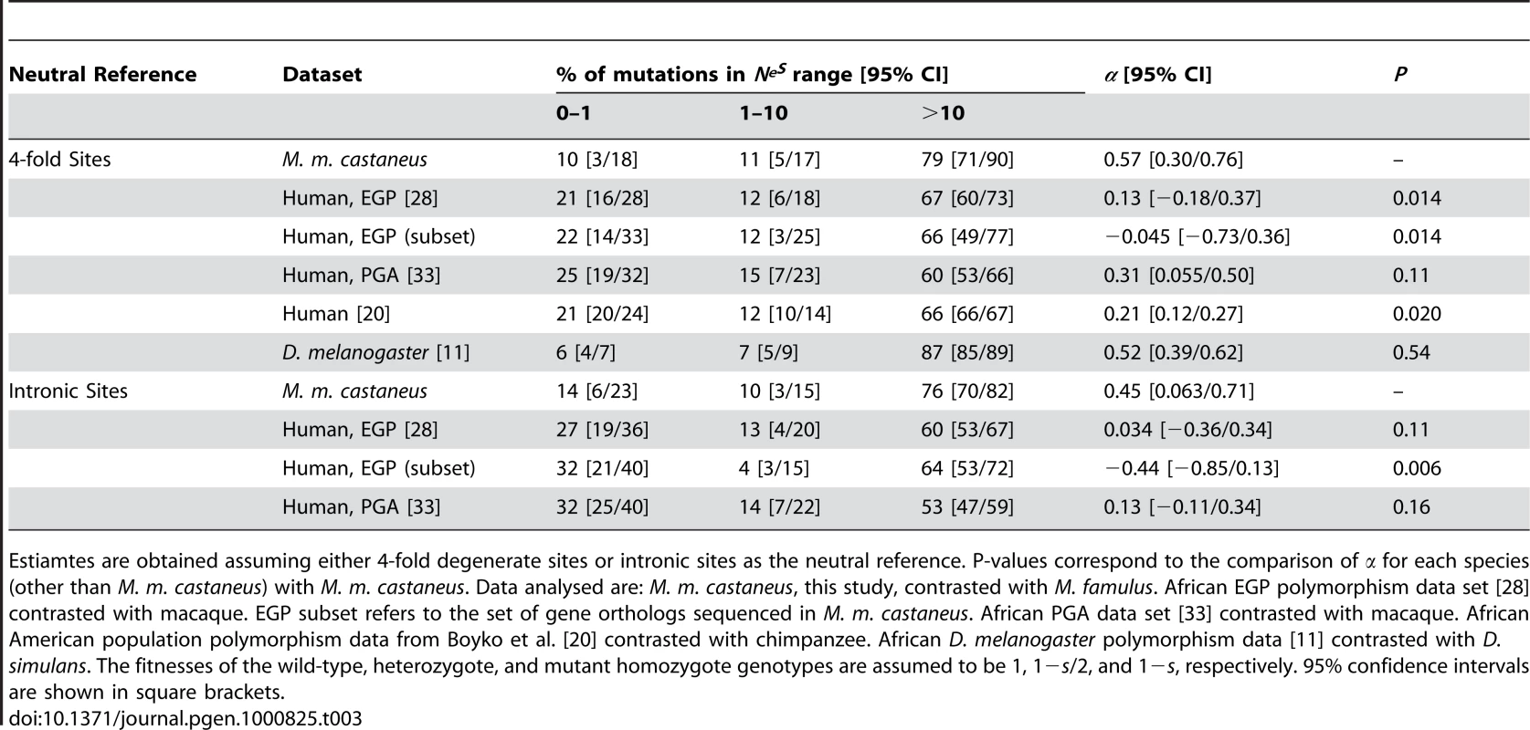 Estimated percentages of amino acid mutations in different <i>N<sub>e</sub>s</i> ranges and estimates of <i>α</i>, the fraction of substitutions driven to fixation by positive selection.