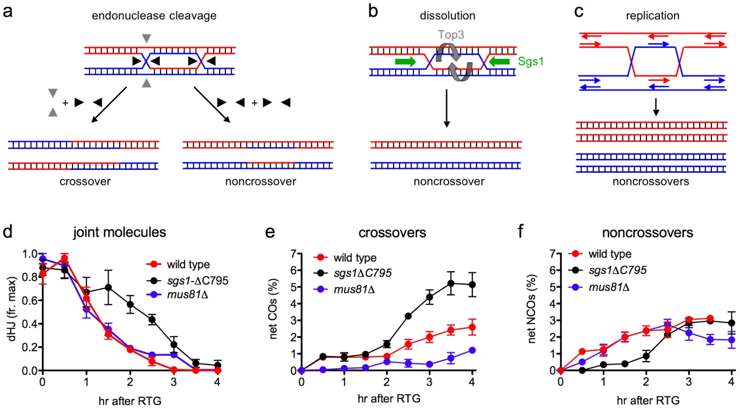 Modes of dHJ-JM resolution and summary of data.