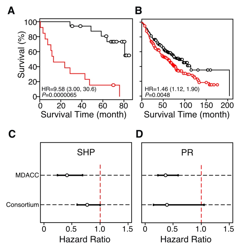 Identification of single NR gene biomarkers for lung cancer prognosis.