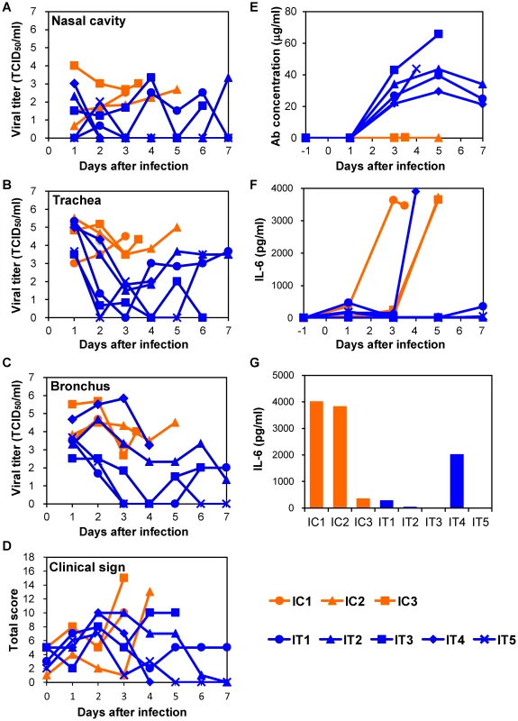 Protection of immunocompromised macaques treated with MAb ch61 from VN3040 infection.