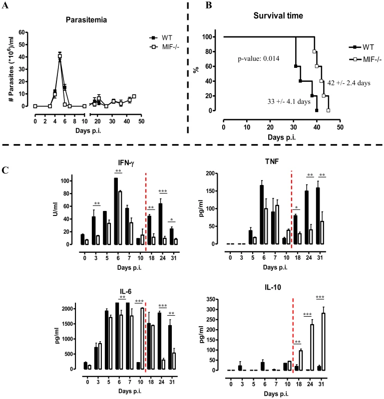 MIF deficiency confers protection and reduces inflammatory immune responses during <i>T. brucei</i> infection.