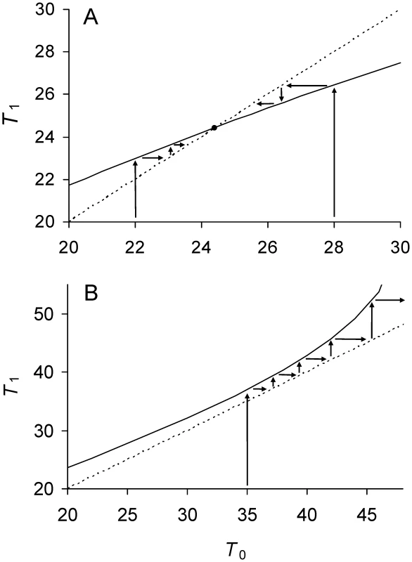 Phase plot of relationship between doubling times of daughter and mother cells when division is symmetrical.