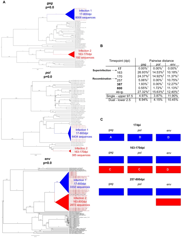 Superinfection case QB210.