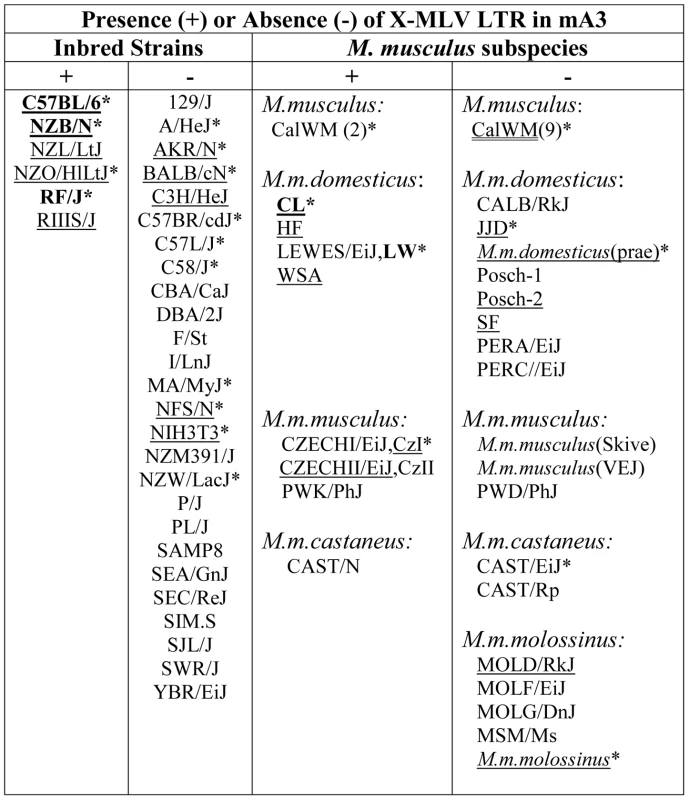 Distribution of the X-MLV LTR in inbred strains and wild-derived <i>M. musculus</i> house mouse species.