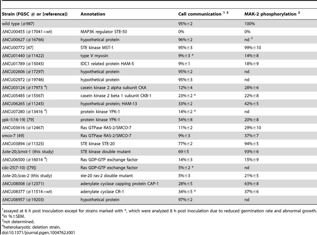 Mutant characteristics of MAK-2 pathway components.