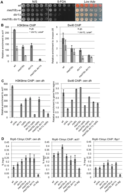 Med18/Mediator is required for Rrp6/Exosome-dependent H3K9 methylation at the pericentromere.