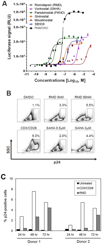 In vitro activation of HIV expression by HDAC inhibitors in an in vitro latency model.