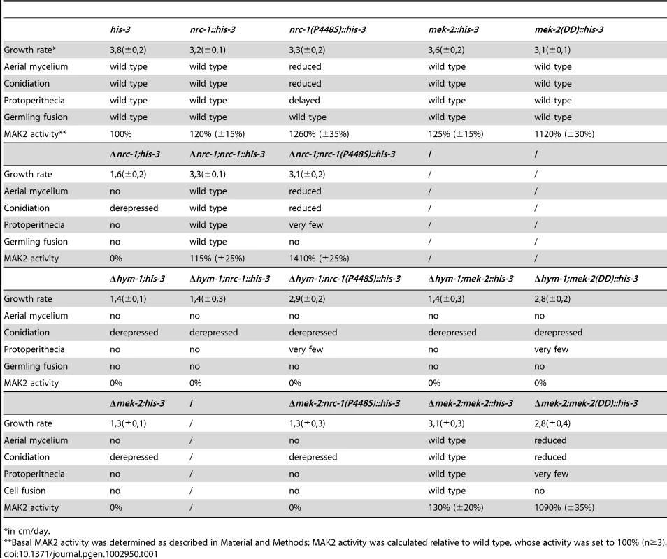 Phenotypic characteristics of constitutive hyperactive NRC1 and MEK2 variants in the indicated strains.