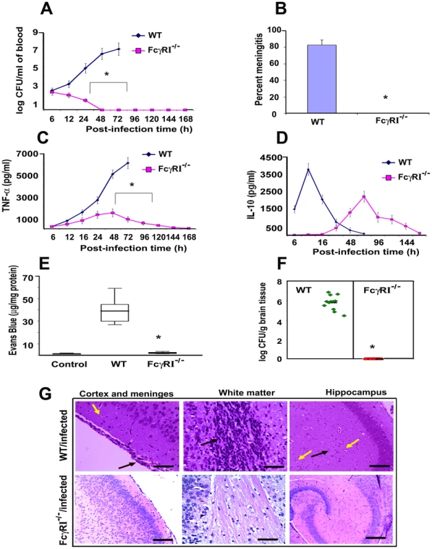 FcγRIa<sup>−/−</sup> mice are resistant to <i>E. coli</i> K1 induced meningitis.