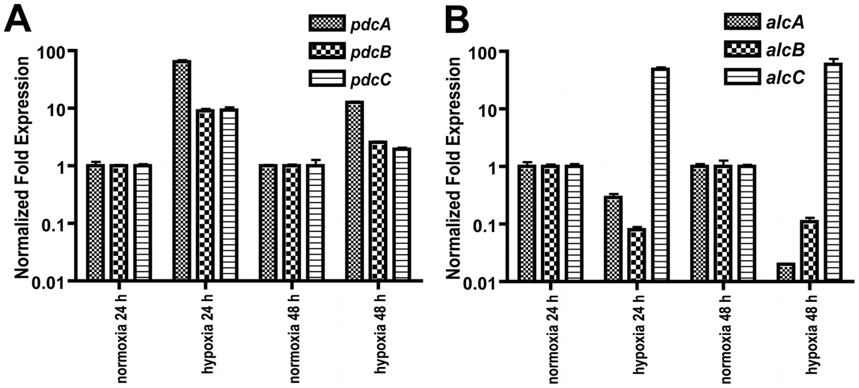 Normalized fold expression of <i>pdc</i> genes and <i>alc</i> genes in <i>A. fumigatus</i> under normoxic and hypoxic conditions.
