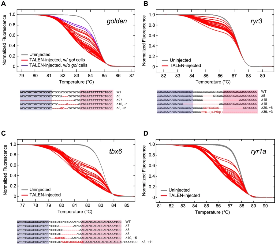 Induction of somatic mutations with TALENs.