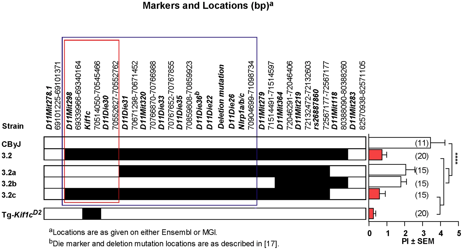 Identification of <i>Orch3</i> as <i>Kif1c</i>.