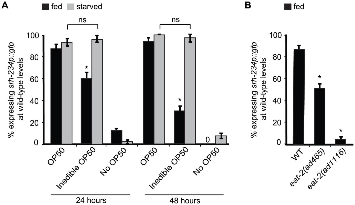 External food presence and internal state signals alter <i>srh-234</i> expression levels.
