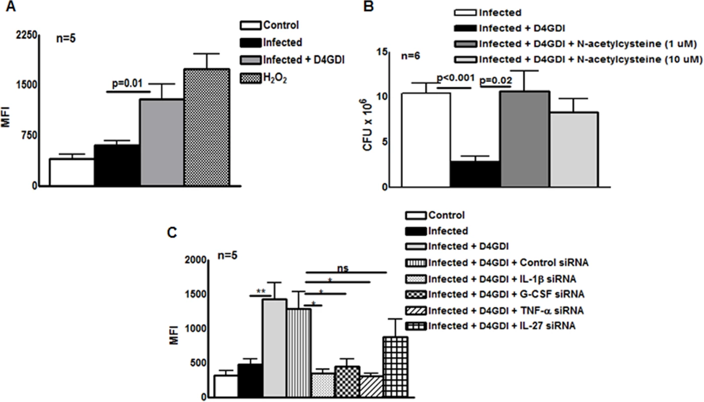 Reactive oxygen species (ROS) contribute to D4GDI-induced IL-1β, TNF-α and G-CSF dependent growth inhibition.
