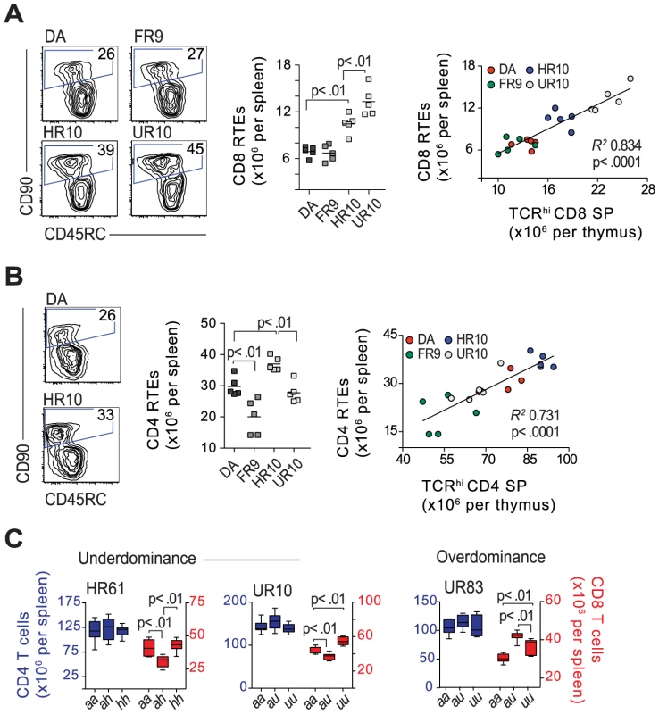 Classical cim influences the number of CD8 recent thymic emigrants.