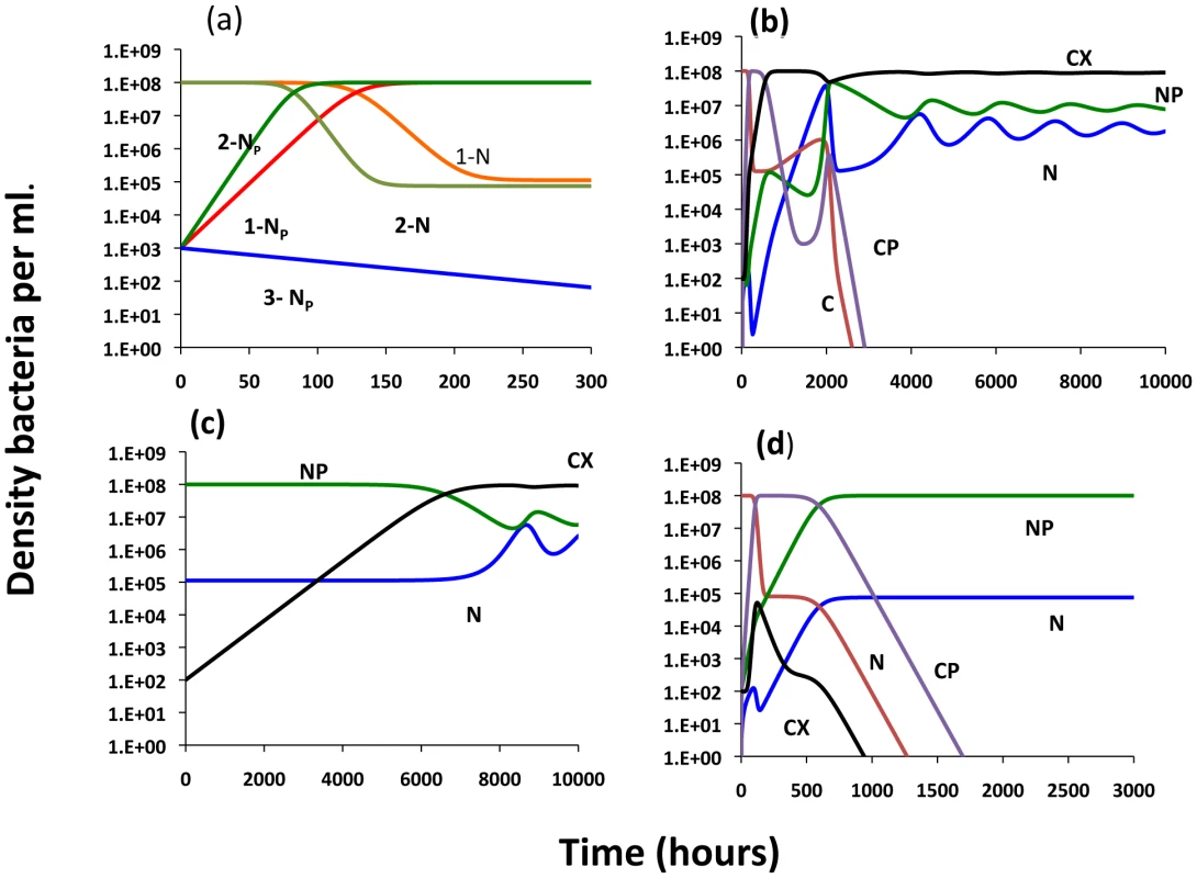 Population dynamics of a conjugative plasmid with non–CRISPR, N and N<sub>P</sub> and CRISPR, C, C<sub>P</sub> and C<sub>X</sub> populations; changes in the densities of the bacterial populations.