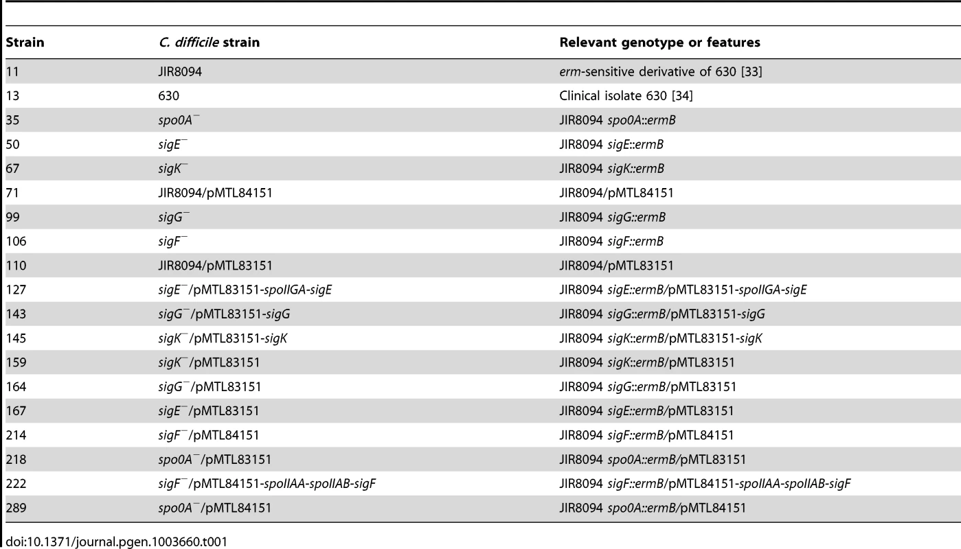 <i>C. difficile</i> strains used in this study.