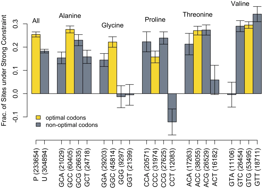 Constraint across codons.